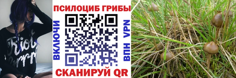 Галлюциногенные грибы мухоморы Адыгейск